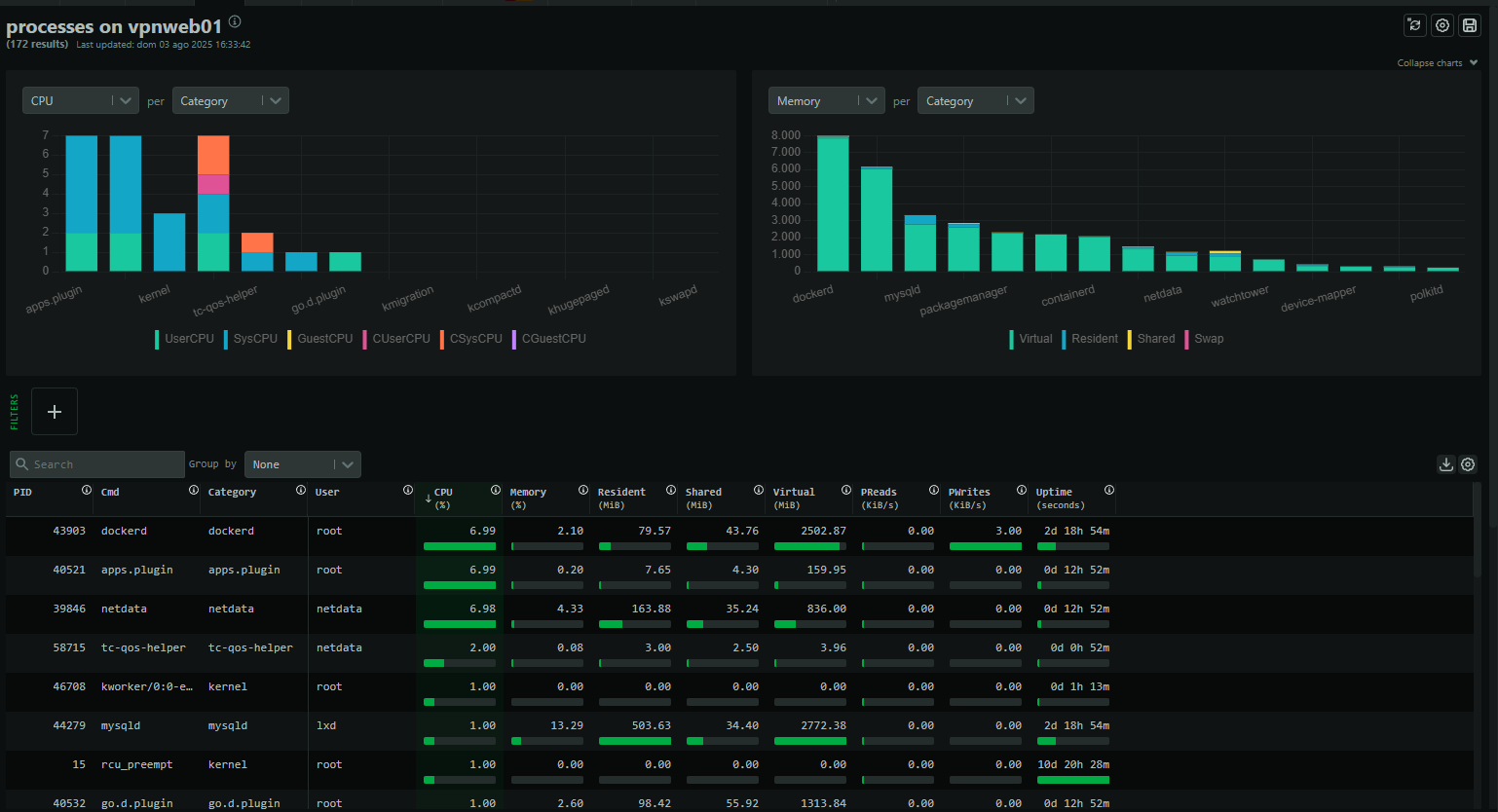 Netdata process table displaying CPU, memory, and I/O statistics per running process.